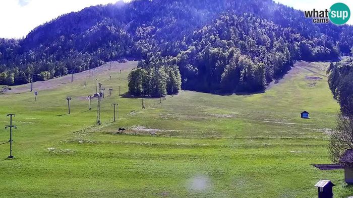 HD Live Webcam Skigebiet Kranjska Gora - Slowenien
