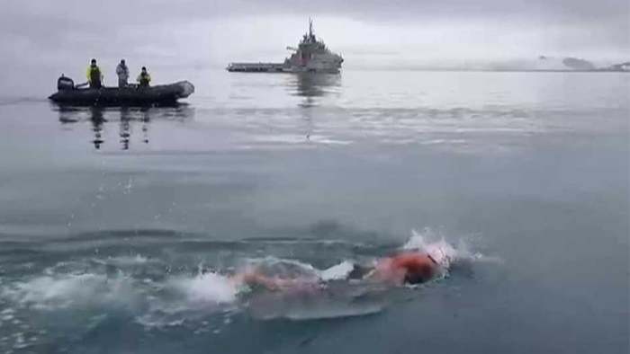 Eiskalter Rekord: Extremsportlerin schwimmt durch die Antarktis