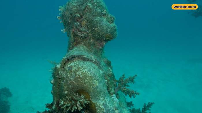 Unterwassermuseum bekämpft Korallensterben in Australien