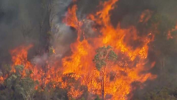 Buschfeuer in Queensland: Flammen bedrohen Häuser und fordern Evakuierungen