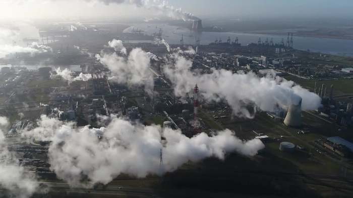 Klimanews: Wie Moosfilter unsere Großstadtluft reinigen