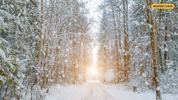 Winterprognose: Kaum Frost und Schnee - Fällt der Winter aus?