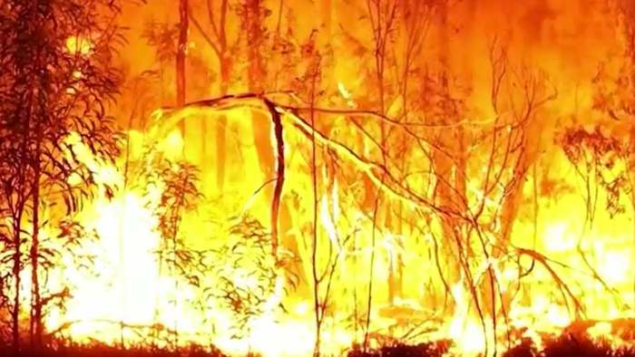 Extrem gefährliche Wetterbedingungen: Heftige Waldbrände in Australien