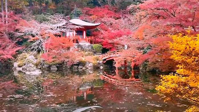 Buntes Naturschauspiel in Kyoto lockt Touristen an