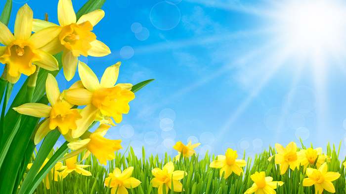 Wetter 16 Tage: Vorfrühling geht weiter! Fällt der Märzwinter aus?