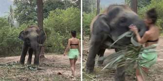 Schnauze voll! Elefant erteilt Touristin eine Lehre