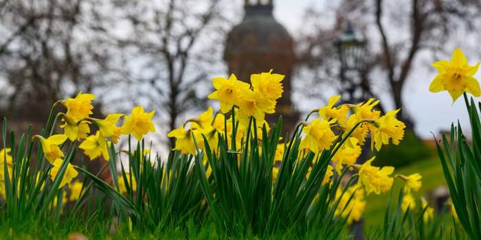 Wetter Morgen Am Donnerstag: Frühling Kommt Mit 20 Grad Um Die Ecke ...