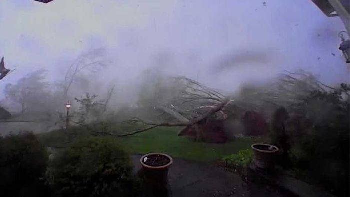 Binnen Sekunden: Tornado entwurzelt Bäume in Familiengarten