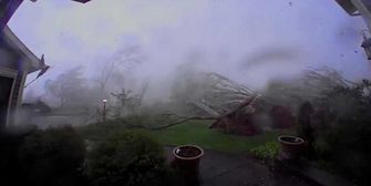 Binnen Sekunden: Tornado entwurzelt Bäume in Familiengarten