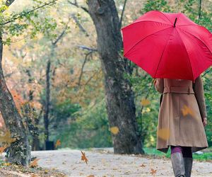 Wetter morgen am Freitag: Kühler Herbst mit viel Regen