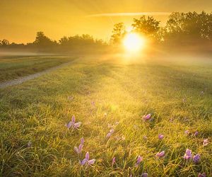 Wetter morgen am Freitag: Warmer Spätsommertag mit Nebel und Sonne