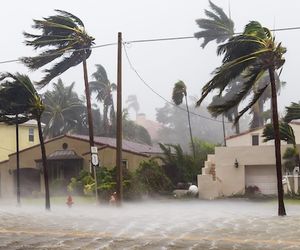 Tausende evakuiert: Florida bereitet sich auf Tropensturm HELENE vor