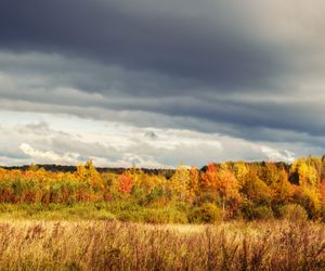 Wetter morgen am Samstag: Sonne, Wolken, Regen - wo bleibt es trocken?