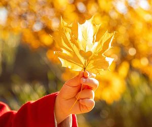 Rückkehr der milden Temperaturen: Wärmephase vor dem Herbstfrost?