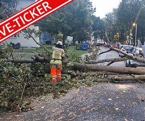 Sturm-Ticker: Polizisten von umfallendem Baum getroffen