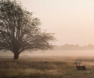 Wetter morgen am Dienstag: Wo sich der Nebel am längsten hält