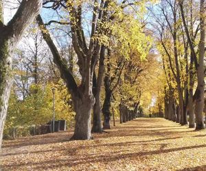 Wetter-Update: Warme Oktobertage am Wochenende