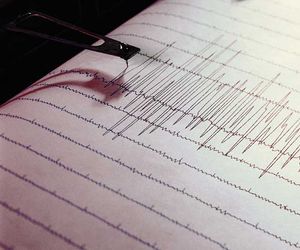 Stärke 3,2: Seltenes Erdbeben in Brandenburg