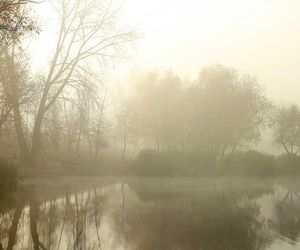 16-Tage-Wetter: Geht der Hochdruck im November weiter?