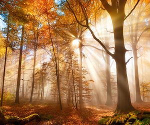 Wetter morgen am Freitag: Nach Nebel wieder viel Sonnenschein