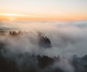 Wetter morgen am Samstag: Wie sich Nebel und Sonne verteilen