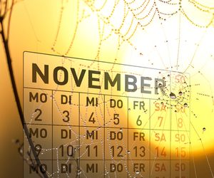 Milder Start in den November? Hochdrucklage bringt nicht nur Sonne