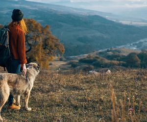 Du willst mit deinem Hund wandern? Mit diesen Tipps bist du gut gerüstet