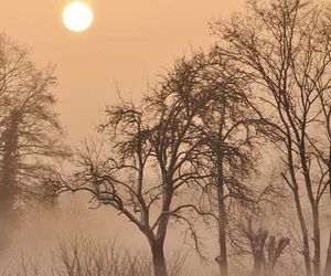 Wetter morgen am Donnerstag: Novembergrauer Himmel - aber nicht überall