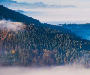 Wetter-Update: Festgefahrene Wetterlage mit Sonne und Nebel