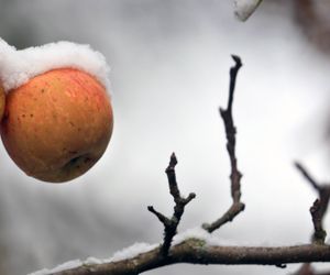 Erster Schnee: Kurzes Wintermezzo in Bayern