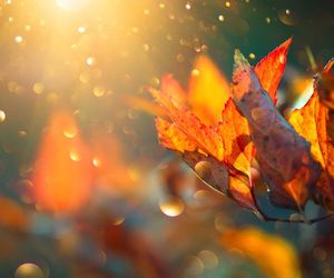 Wetter Röbel heute aktuelle Wettervorhersage für Röbel Wetter ist