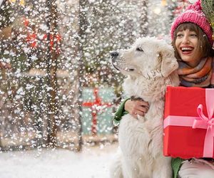 Wetter morgen am Dienstag: Hier fällt an Heiligabend Schnee