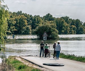 DWD zieht Jahresbilanz: 2024 deutlich zu warm und zu nass