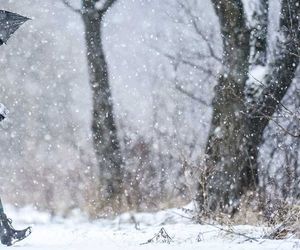 Wetter morgen am Freitag: Polarluft kommt mit Schneeschauern und Sturm