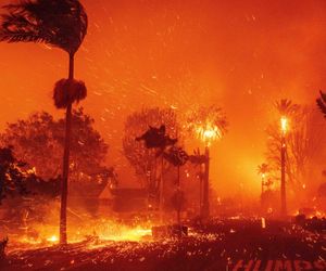 Feuerkatastrophe in L.A. im Ticker: Flammen erfassen Hollywood Hills