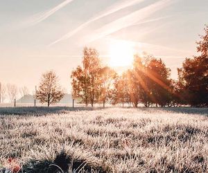 Wetter morgen am Montag: Ruhiger Wochenstart mit frostigen Temperaturen