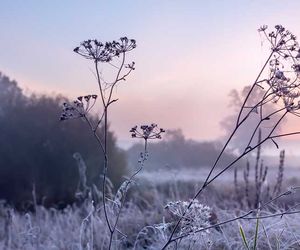 Wetter morgen am Dienstag: Trockenkaltes und teils sonniges Winterwetter