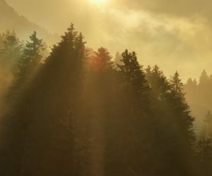 Wetter-Update: Wo sich die Sonne gegen den Nebel durchsetzen kann