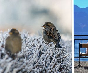 Wetter morgen am Mittwoch: Von 0 bis 14 Grad - große Temperaturkontraste!