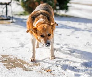 16-Tage-Wetter: Kältewelle beginnt - wann wird es wieder wärmer?