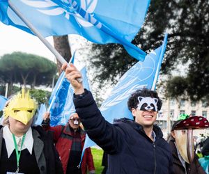 Artenvielfalt gefährdet: UN-Naturkonferenz erzielt Kompromiss der Staaten