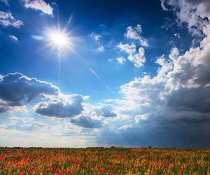 7-Tage-Wetterbericht: Deutschland zwischen Kaltfront und milder Luft