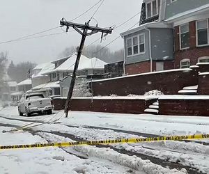 Bäume und Strommasten umgeknickt: Blizzard sorgt in Nebraska für Chaos