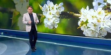 Meteorologe zeigt Pollenbelastung am Donnerstag für Deutschland