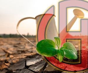 Wetter 16 Tage: Geht nach Eisheiligen Hochblockade weiter?