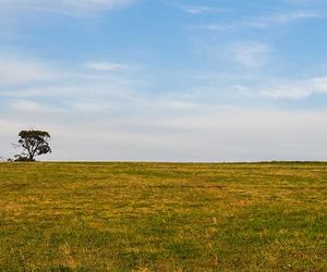 Trockenheit hält an: Kann jetzt etwas Regen fallen?
