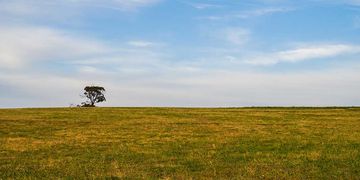 Trockenheit hält an: Kann jetzt etwas Regen fallen?