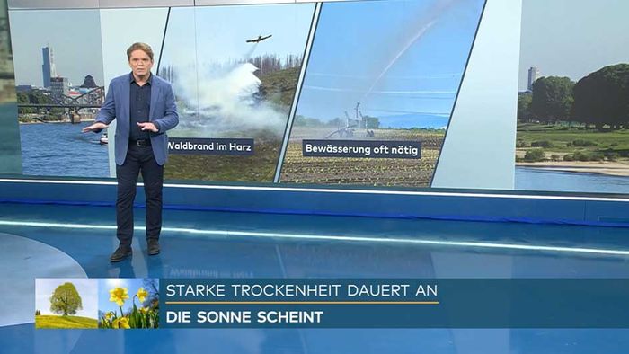 Meteorologe schlägt Alarm: Sonniger Mai – doch Trockenheit spitzt sich zu