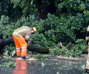 Unwetter mit Hagel und Sturm: Chaos in Baden-Württemberg und Niedersachsen