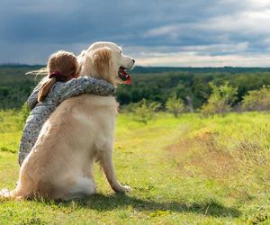 16-Tage-Wetter: Start der Hundstage! Sommerleid statt Hitzeschock?